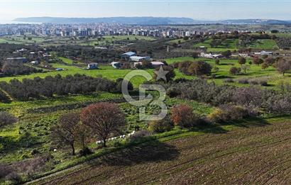 Karacaören’de Full Boğaz & Deniz Manzaralı | Yerleşim İçinde | 2042 m² Satılık Tarla