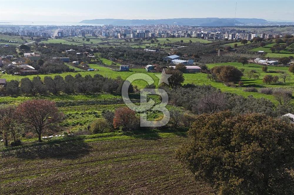 Karacaören’de Full Boğaz & Deniz Manzaralı | Yerleşim İçinde | 2042 m² Satılık Tarla