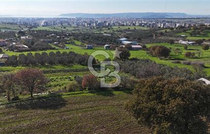 Karacaören’de Full Boğaz & Deniz Manzaralı | Yerleşim İçinde | 2042 m² Satılık Tarla