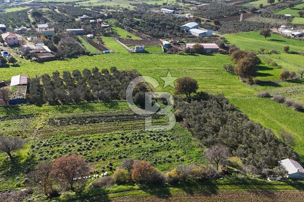 Karacaören’de Full Boğaz & Deniz Manzaralı | Yerleşim İçinde | 2042 m² Satılık Tarla