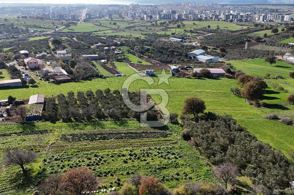 Karacaören’de Full Boğaz & Deniz Manzaralı | Yerleşim İçinde | 2042 m² Satılık Tarla