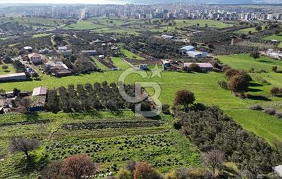 Karacaören’de Full Boğaz & Deniz Manzaralı | Yerleşim İçinde | 2042 m² Satılık Tarla