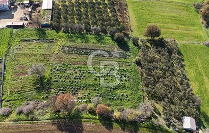 Karacaören’de Full Boğaz & Deniz Manzaralı | Yerleşim İçinde | 2042 m² Satılık Tarla