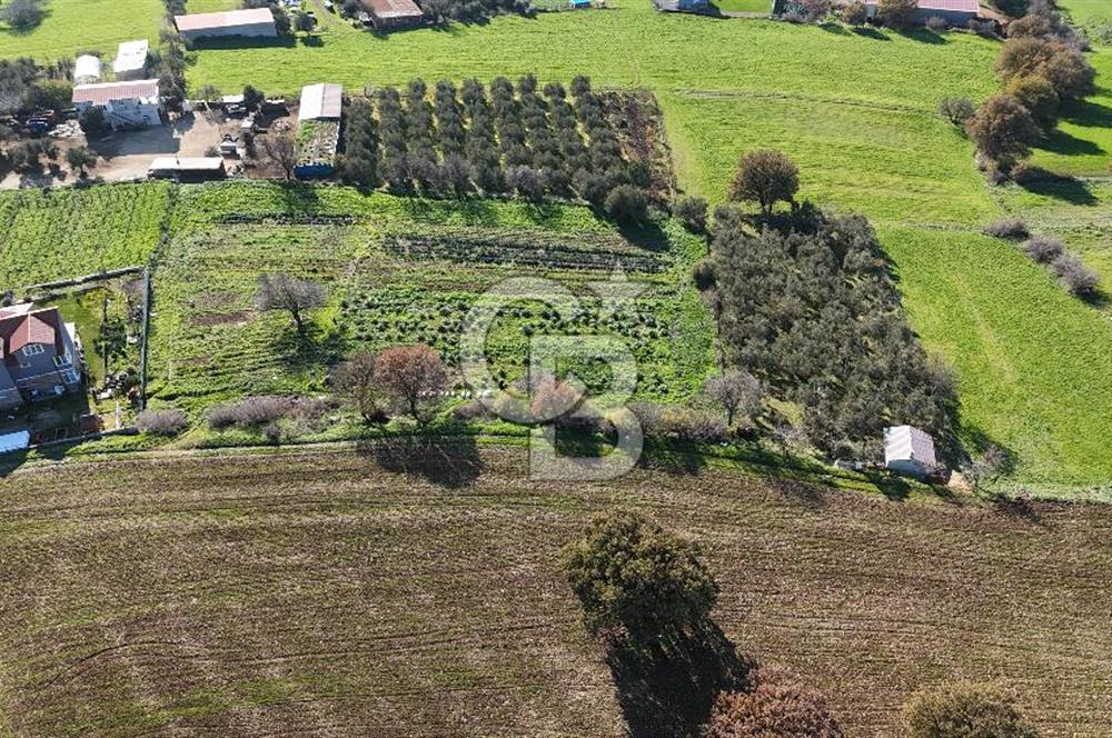 Karacaören’de Full Boğaz & Deniz Manzaralı | Yerleşim İçinde | 2042 m² Satılık Tarla