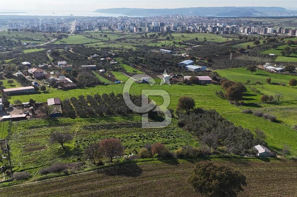 Karacaören’de Full Boğaz & Deniz Manzaralı | Yerleşim İçinde | 2042 m² Satılık Tarla