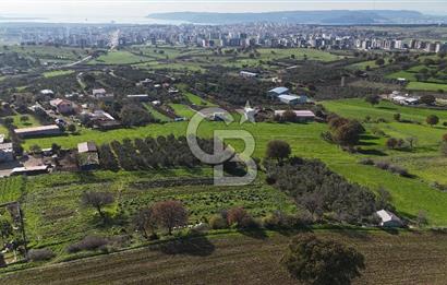 Karacaören’de Full Boğaz & Deniz Manzaralı | Yerleşim İçinde | 2042 m² Satılık Tarla