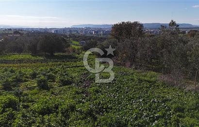 Karacaören’de Full Boğaz & Deniz Manzaralı | Yerleşim İçinde | 2042 m² Satılık Tarla