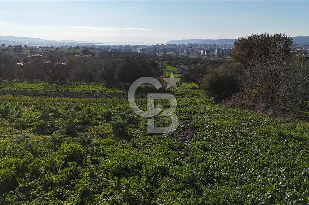 Karacaören’de Full Boğaz & Deniz Manzaralı | Yerleşim İçinde | 2042 m² Satılık Tarla