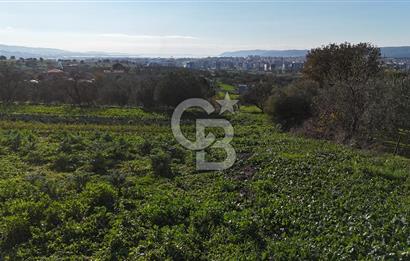 Karacaören’de Full Boğaz & Deniz Manzaralı | Yerleşim İçinde | 2042 m² Satılık Tarla