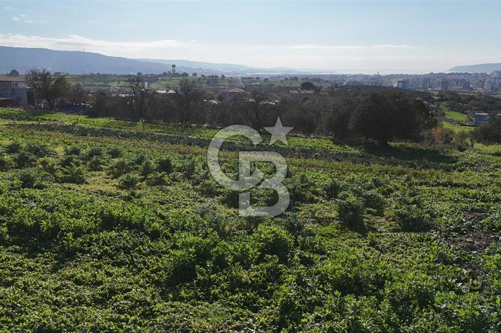 Karacaören’de Full Boğaz & Deniz Manzaralı | Yerleşim İçinde | 2042 m² Satılık Tarla