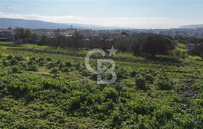 Karacaören’de Full Boğaz & Deniz Manzaralı | Yerleşim İçinde | 2042 m² Satılık Tarla