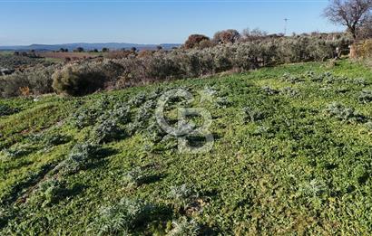 Karacaören’de Full Boğaz & Deniz Manzaralı | Yerleşim İçinde | 2042 m² Satılık Tarla