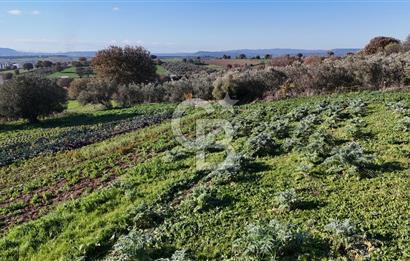Karacaören’de Full Boğaz & Deniz Manzaralı | Yerleşim İçinde | 2042 m² Satılık Tarla