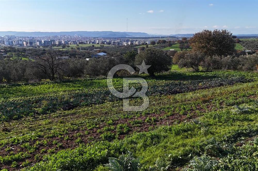 Karacaören’de Full Boğaz & Deniz Manzaralı | Yerleşim İçinde | 2042 m² Satılık Tarla