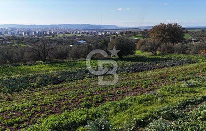 Karacaören’de Full Boğaz & Deniz Manzaralı | Yerleşim İçinde | 2042 m² Satılık Tarla