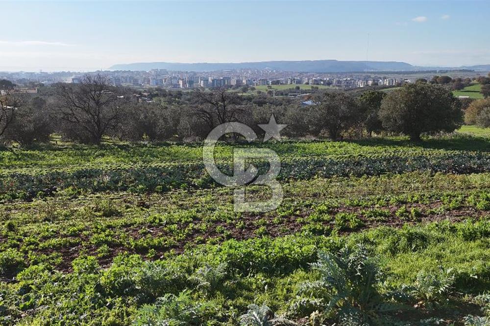 Karacaören’de Full Boğaz & Deniz Manzaralı | Yerleşim İçinde | 2042 m² Satılık Tarla