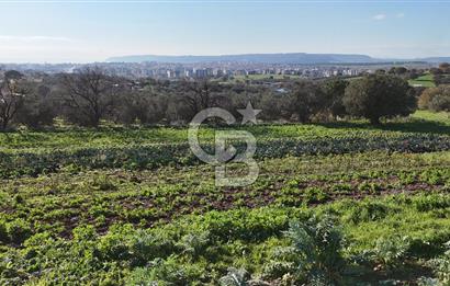 Karacaören’de Full Boğaz & Deniz Manzaralı | Yerleşim İçinde | 2042 m² Satılık Tarla