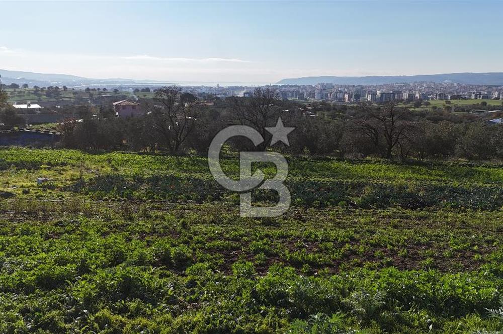 Karacaören’de Full Boğaz & Deniz Manzaralı | Yerleşim İçinde | 2042 m² Satılık Tarla