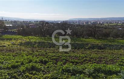 Karacaören’de Full Boğaz & Deniz Manzaralı | Yerleşim İçinde | 2042 m² Satılık Tarla