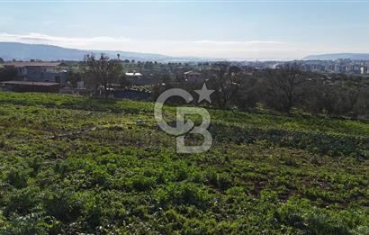 Karacaören’de Full Boğaz & Deniz Manzaralı | Yerleşim İçinde | 2042 m² Satılık Tarla