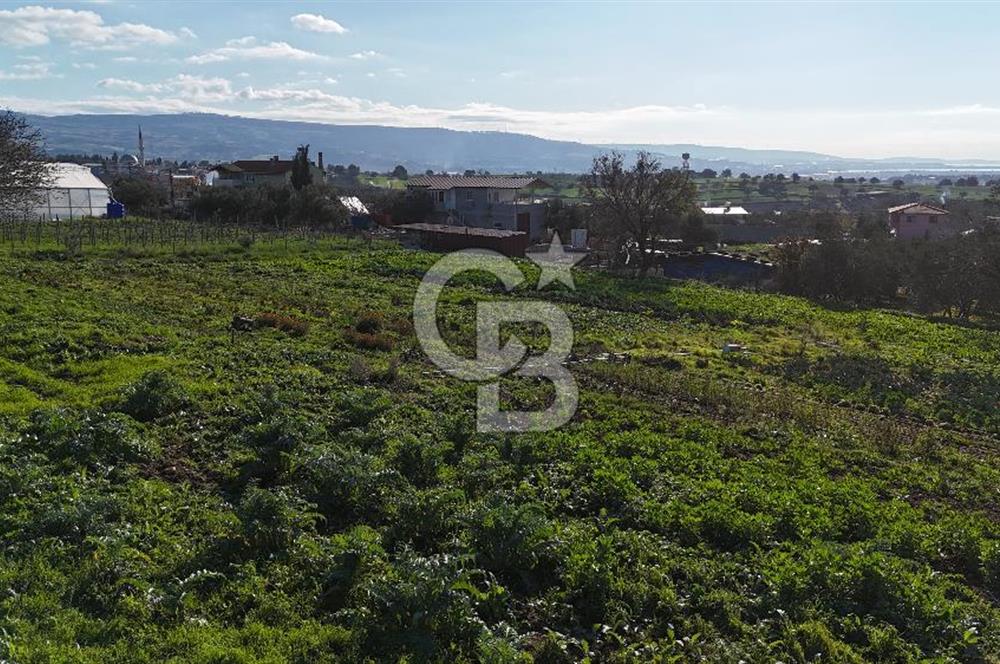 Karacaören’de Full Boğaz & Deniz Manzaralı | Yerleşim İçinde | 2042 m² Satılık Tarla