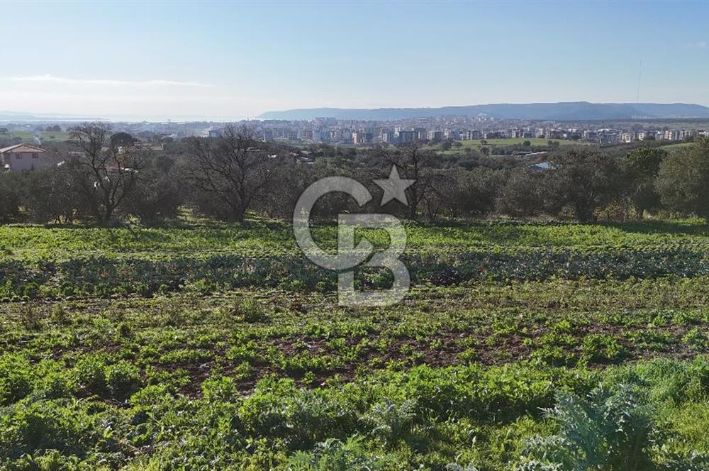 Karacaören’de Full Boğaz & Deniz Manzaralı | Yerleşim İçinde | 2042 m² Satılık Tarla