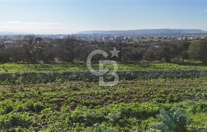 Karacaören’de Full Boğaz & Deniz Manzaralı | Yerleşim İçinde | 2042 m² Satılık Tarla