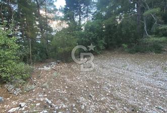 KONYAALTI YARBAŞÇANDIRDA SATILIK TEK TAPU TARLA - 1 - 324449