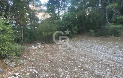 KONYAALTI YARBAŞÇANDIRDA SATILIK TEK TAPU TARLA