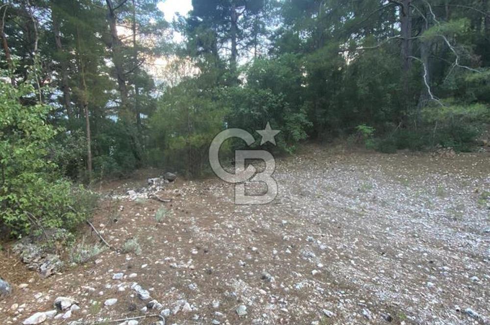 KONYAALTI YARBAŞÇANDIRDA SATILIK TEK TAPU TARLA