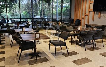 CB MARS'TAN KENTPLUS CENTRIUM' DA EŞYALI 1+1