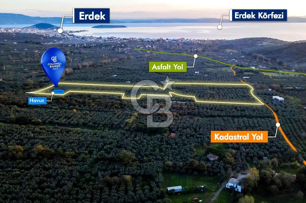 CB EAGLE'DAN ERDEK HALİTPAŞA'DA 53.169 m² SATILIK ZEYTİNLİK
