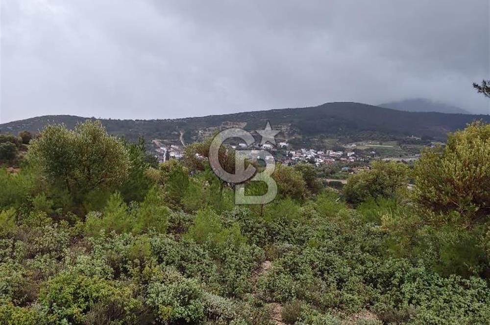 Panoramik Manzaralı | Mordoğan’da 1/1000’lik Planda Olan Tarla