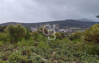 Panoramik Manzaralı | Mordoğan’da 1/1000’lik Planda Olan Tarla