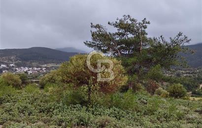 Panoramik Manzaralı | Mordoğan’da 1/1000’lik Planda Olan Tarla