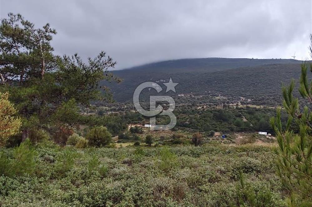 Panoramik Manzaralı | Mordoğan’da 1/1000’lik Planda Olan Tarla