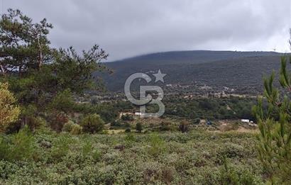 Panoramik Manzaralı | Mordoğan’da 1/1000’lik Planda Olan Tarla