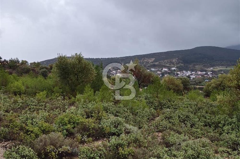 Panoramik Manzaralı | Mordoğan’da 1/1000’lik Planda Olan Tarla