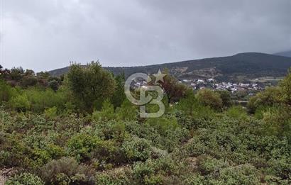 Panoramik Manzaralı | Mordoğan’da 1/1000’lik Planda Olan Tarla