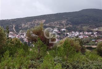 Panoramik Manzaralı | Mordoğan’da 1/1000’lik Planda Olan Tarla - 1 - 324639