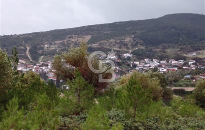 Panoramik Manzaralı | Mordoğan’da 1/1000’lik Planda Olan Tarla