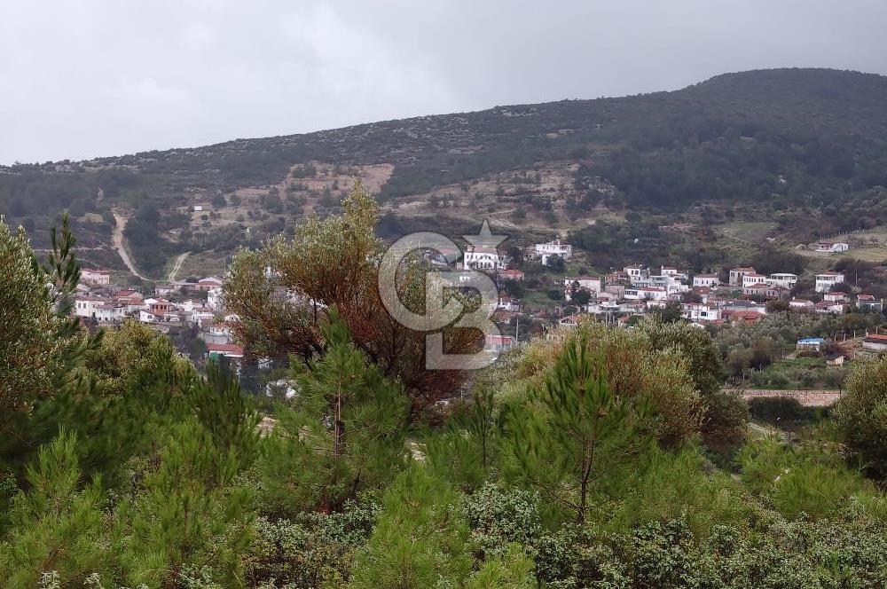 Panoramik Manzaralı | Mordoğan’da 1/1000’lik Planda Olan Tarla