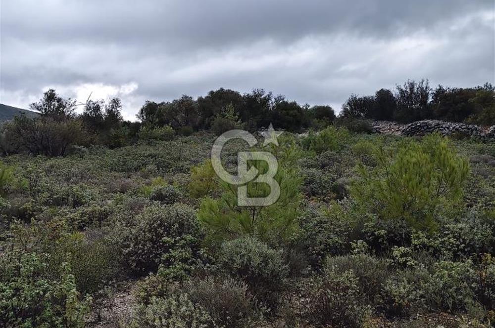 Panoramik Manzaralı | Mordoğan’da 1/1000’lik Planda Olan Tarla