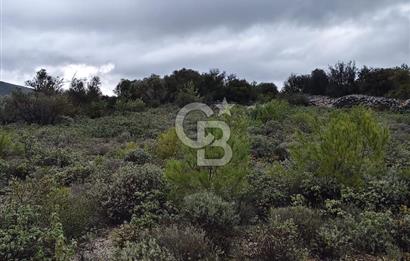 Panoramik Manzaralı | Mordoğan’da 1/1000’lik Planda Olan Tarla