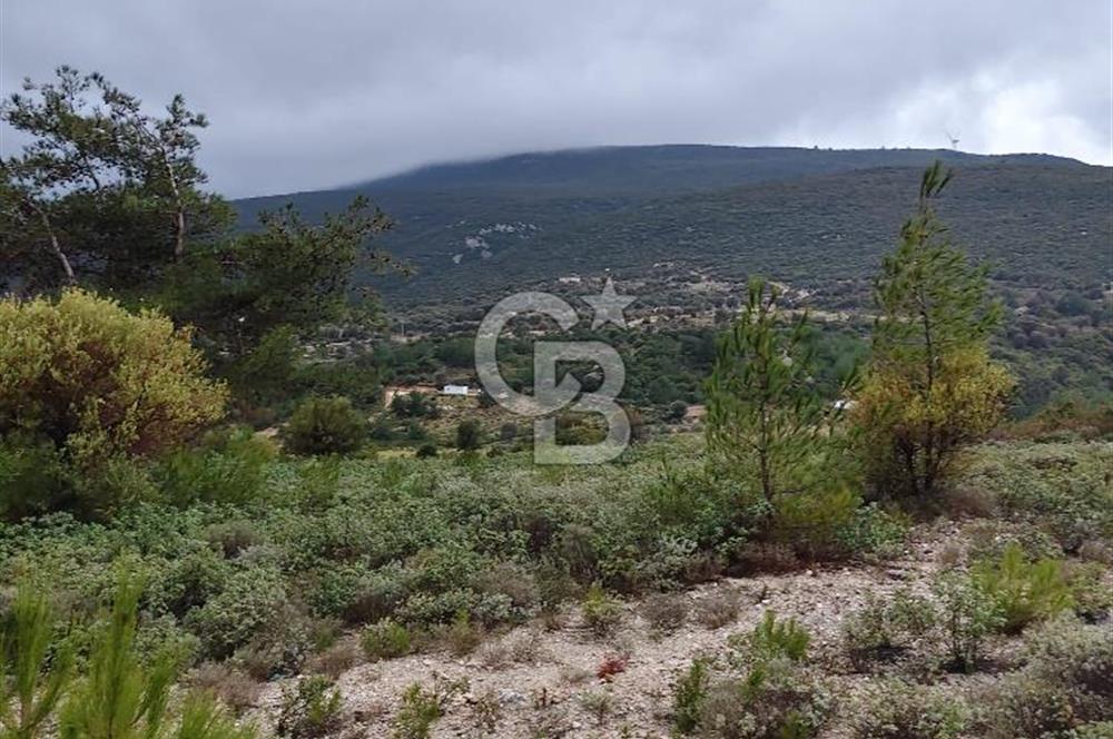 Panoramik Manzaralı | Mordoğan’da 1/1000’lik Planda Olan Tarla