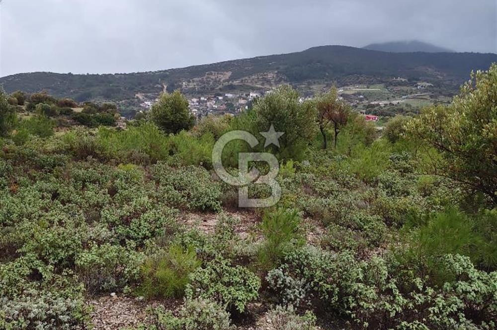 Panoramik Manzaralı | Mordoğan’da 1/1000’lik Planda Olan Tarla