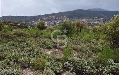 Panoramik Manzaralı | Mordoğan’da 1/1000’lik Planda Olan Tarla