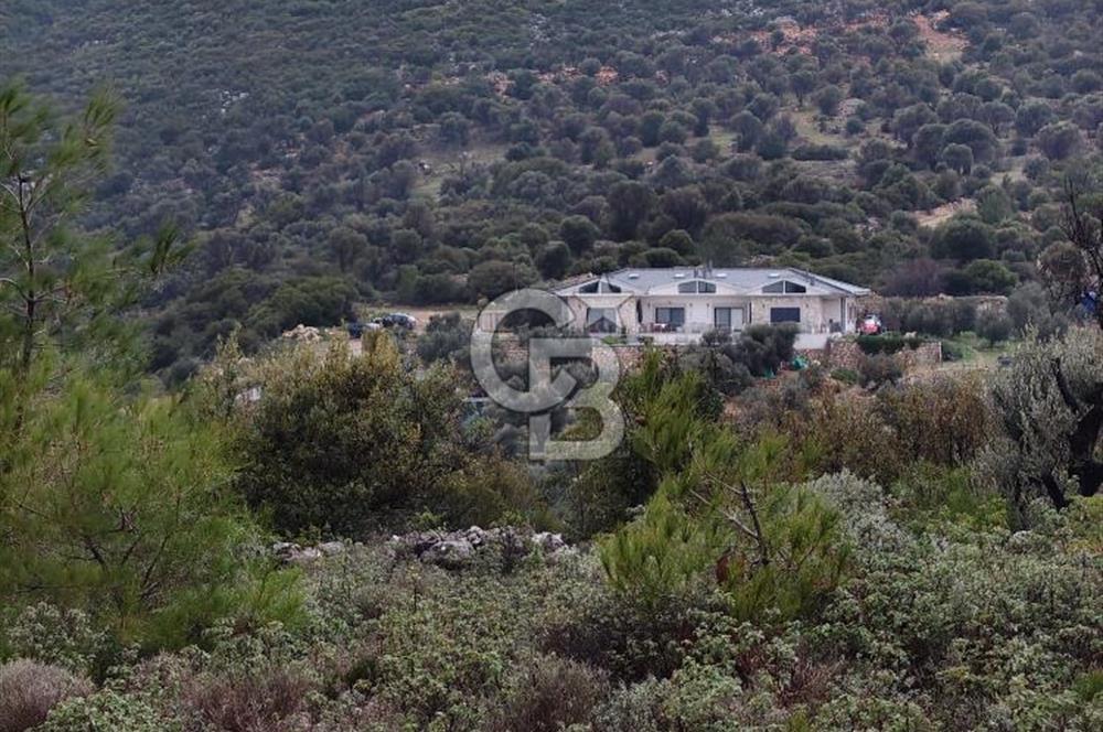 Panoramik Manzaralı | Mordoğan’da 1/1000’lik Planda Olan Tarla