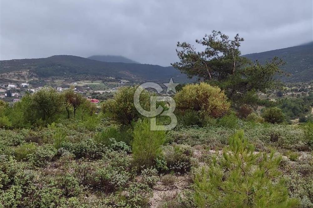 Panoramik Manzaralı | Mordoğan’da 1/1000’lik Planda Olan Tarla