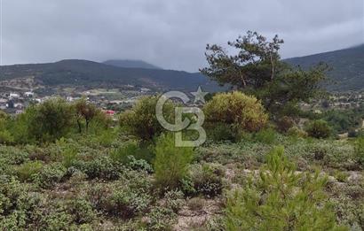 Panoramik Manzaralı | Mordoğan’da 1/1000’lik Planda Olan Tarla